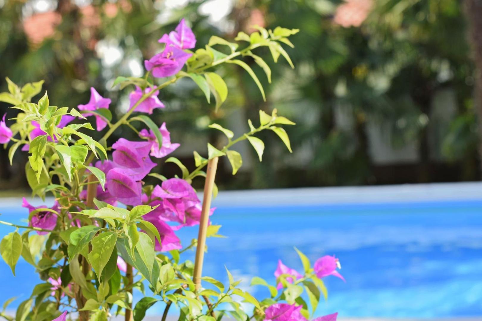 House Mai With Pool * Poreč